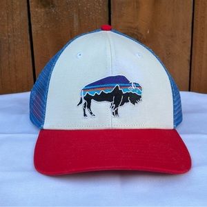 Patagonia Fitzroy Trucker Hat